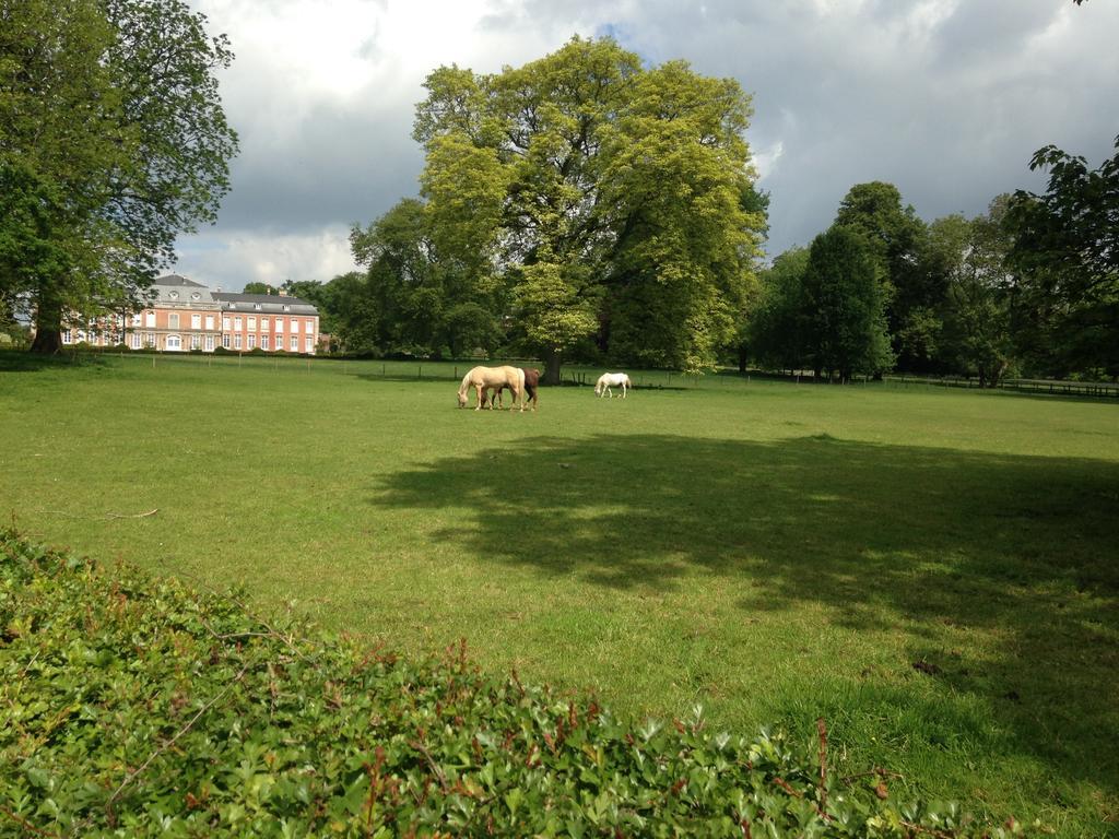 B&B De Henehoeve Heks Eksteriør bilde