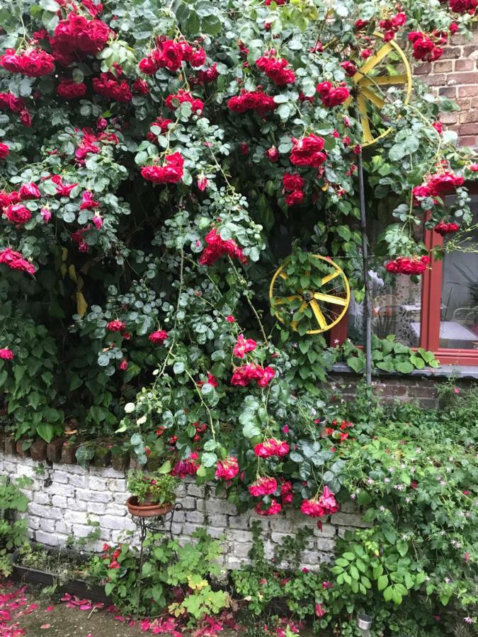 B&B De Henehoeve Heks Eksteriør bilde